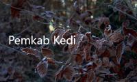 Pemkab Kediri Usulkan Seribu Formasi ASN